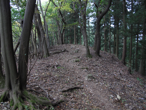 20151021hike (347)
